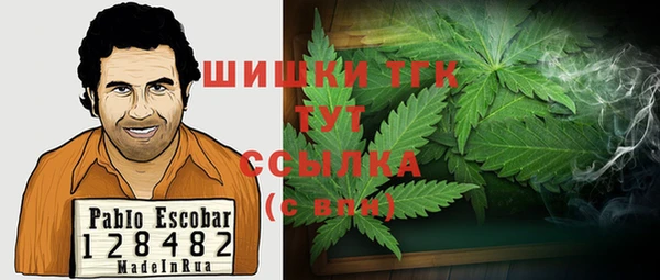сатива Волгодонск